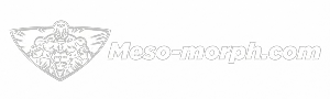Meso-morph